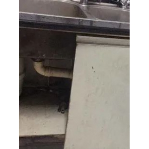 雪弗板做柜子結(jié)實(shí)嗎 西卡曼|給廚房賦予新的定義！